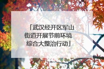 武汉经开区军山街道开展节前环境综合大整治行动